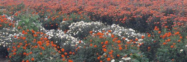 sushant_bhogte Profile Banner