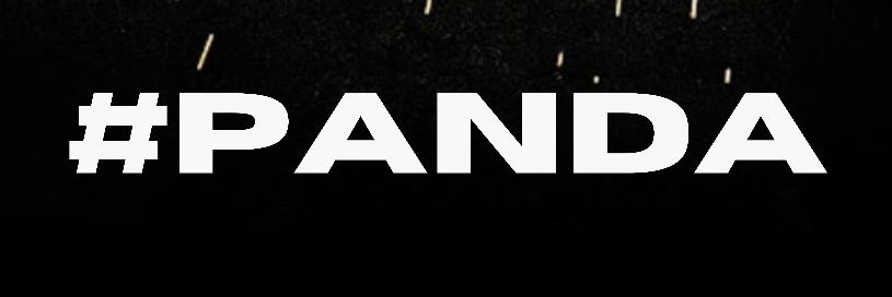 Panda🐼 🥰's banner