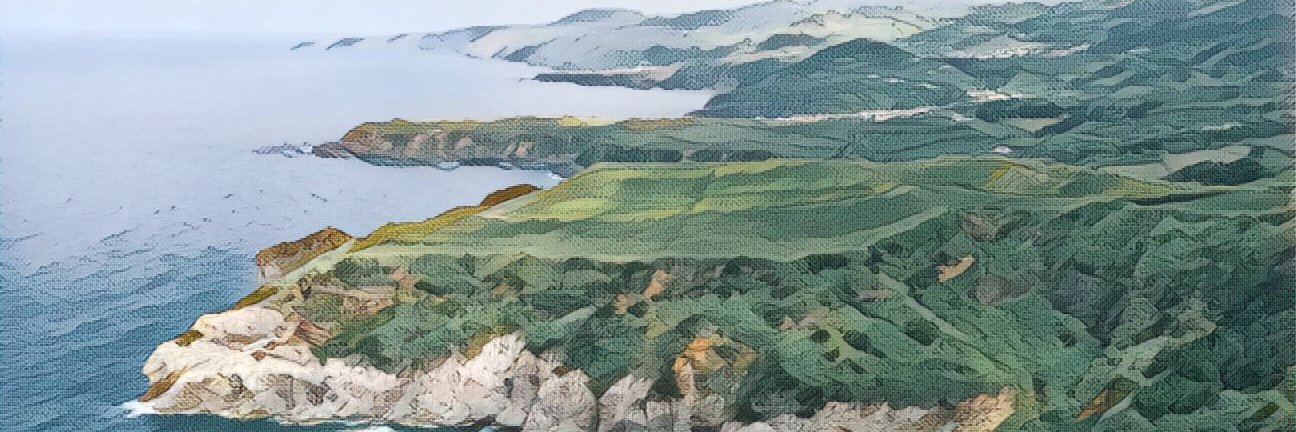 Maurice Turner banner