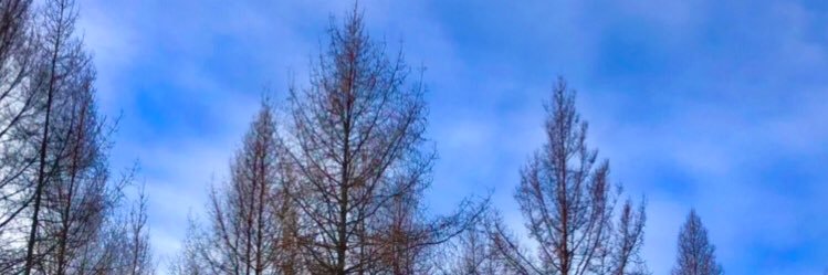 Multiformesplus's profile banner image