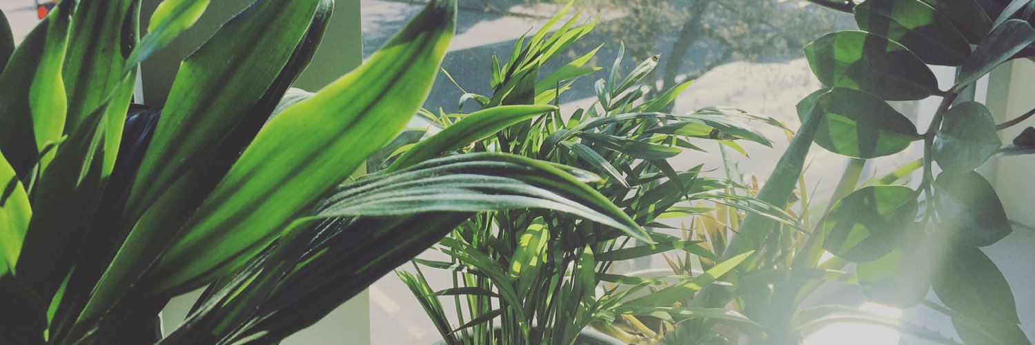 stephanieehogan's profile banner image