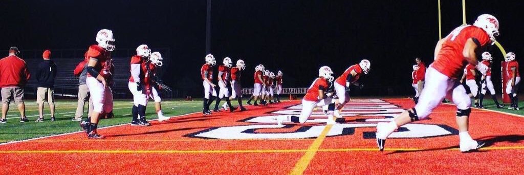 Wilson WL Sports banner