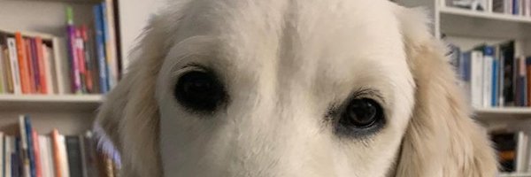dabl Profile Banner