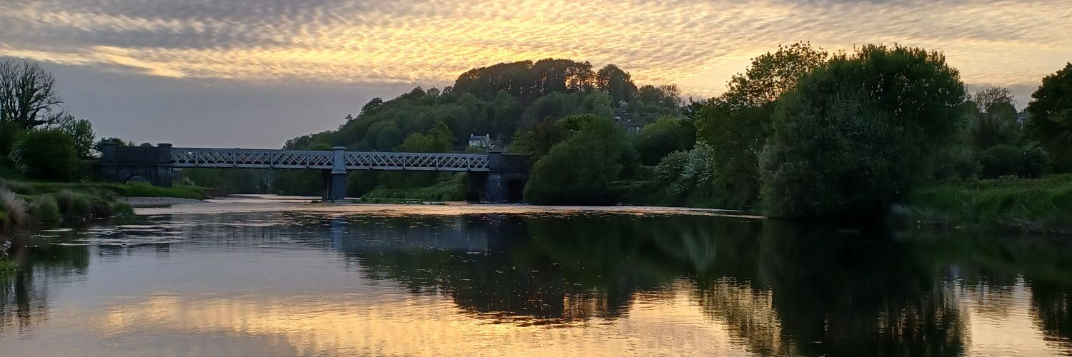 Graham Hopkins banner