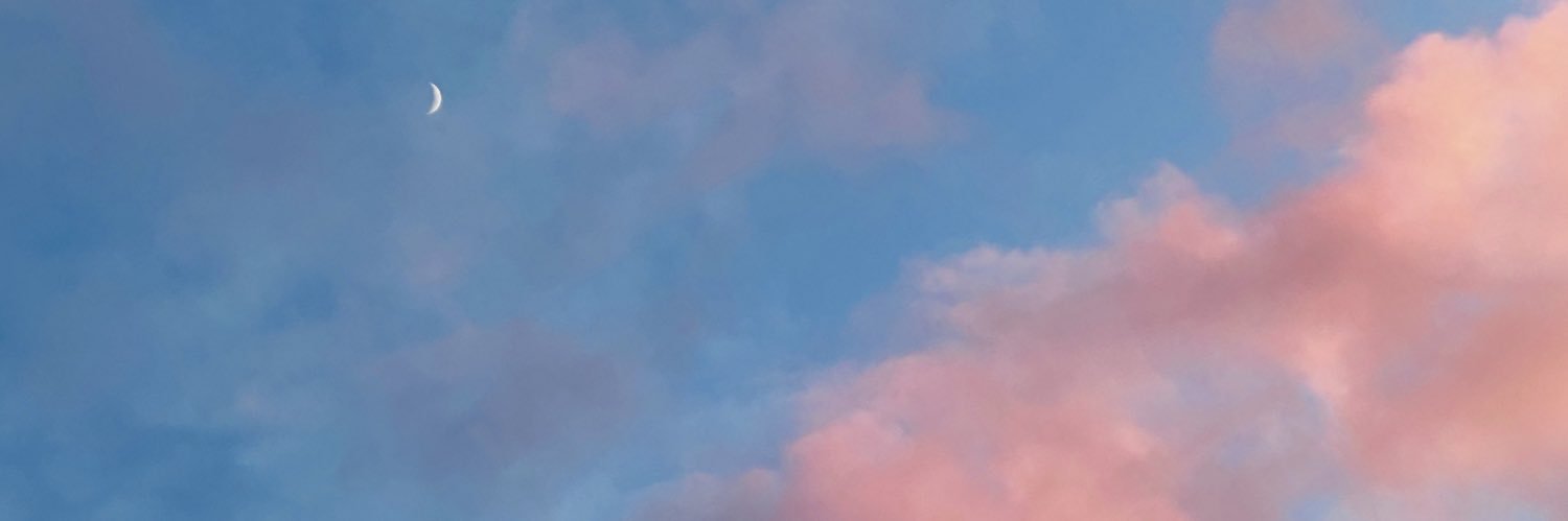 theappalbus's profile banner image