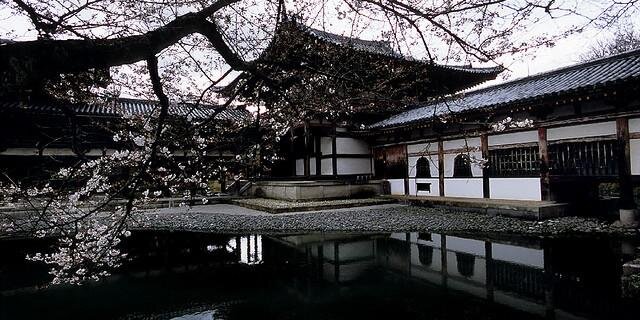 705040094's profile banner image