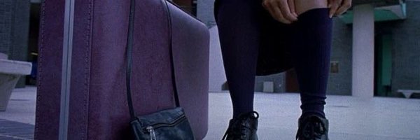 ccspader Profile Banner