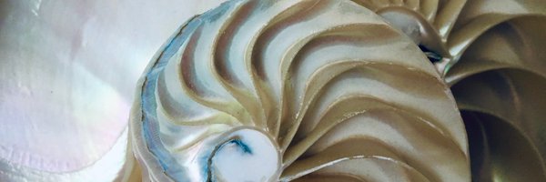 LiteraryMama Profile Banner
