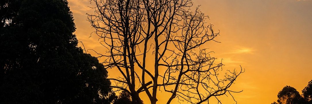 thee_abnormal's profile banner image