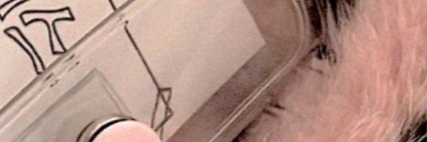 BUGN0IRES Profile Banner