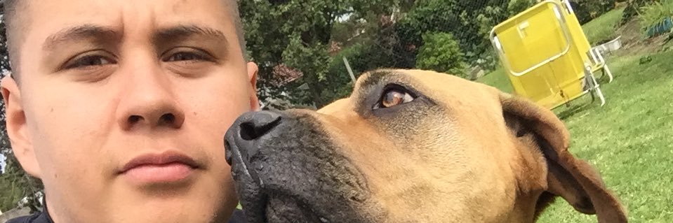 IvanRodrigue32's profile banner image