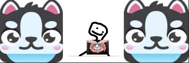 Rodrick1132's profile banner image