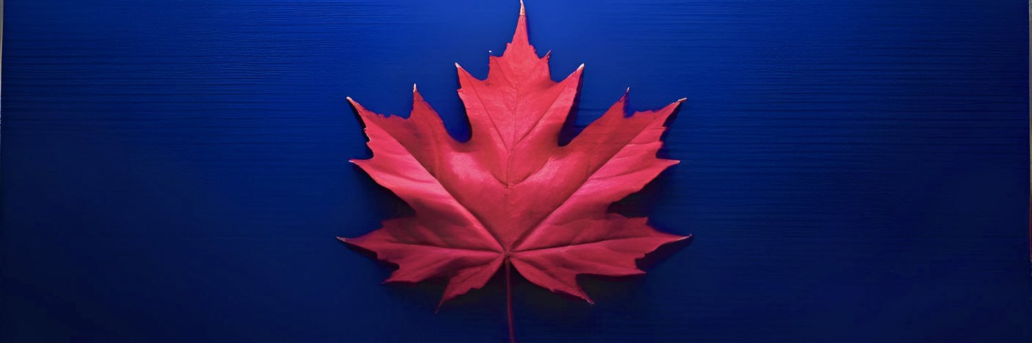 T✡︎m Foolery 🇨🇦 banner