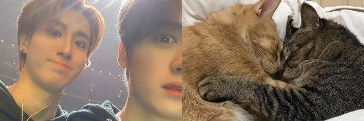 ccminsungie's profile banner image