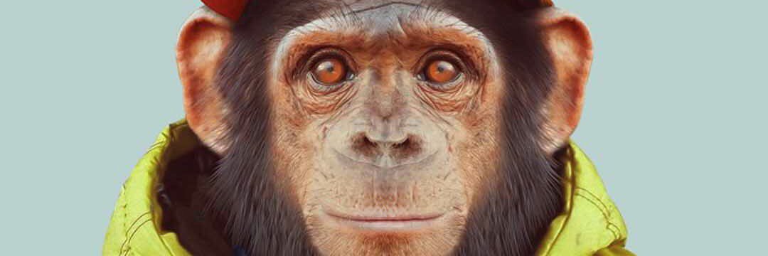 SalvaEstaFeliz's profile banner image