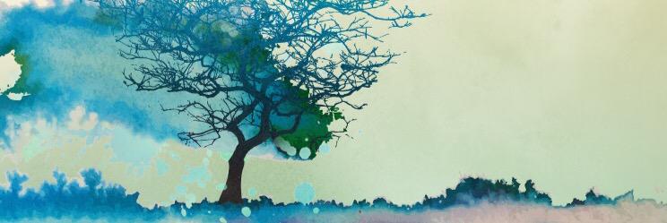 heene1's profile banner image