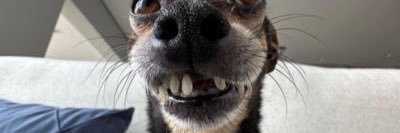 たろう🤥 banner