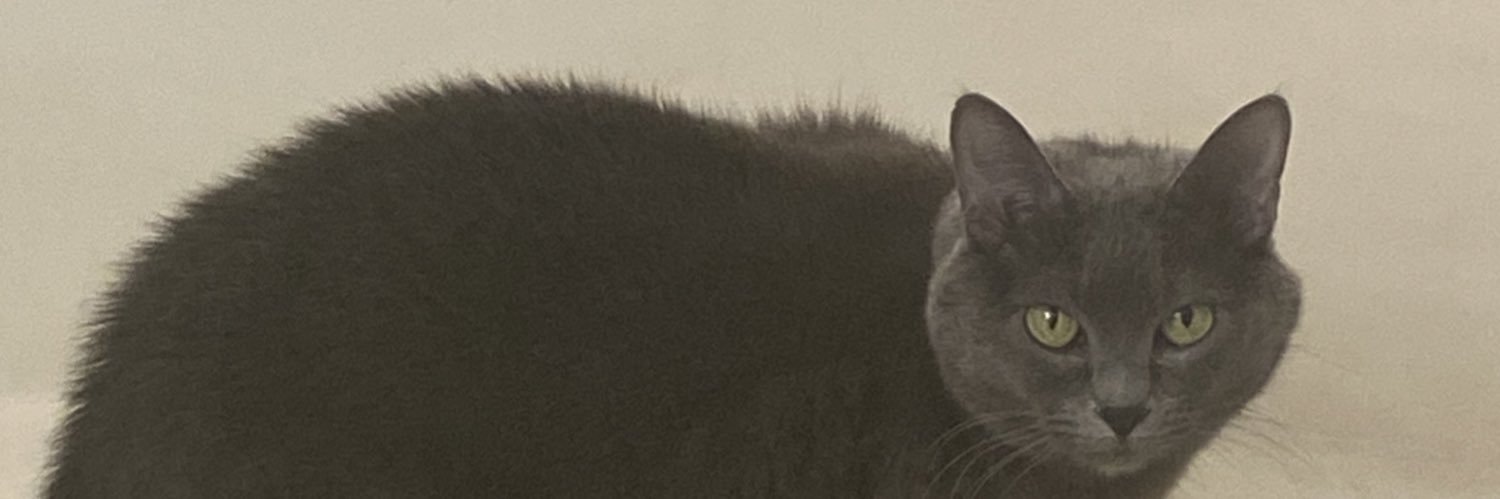 macchomei's profile banner image