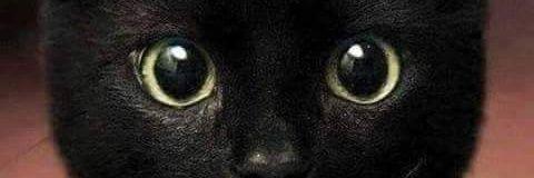 143sayplease's profile banner image