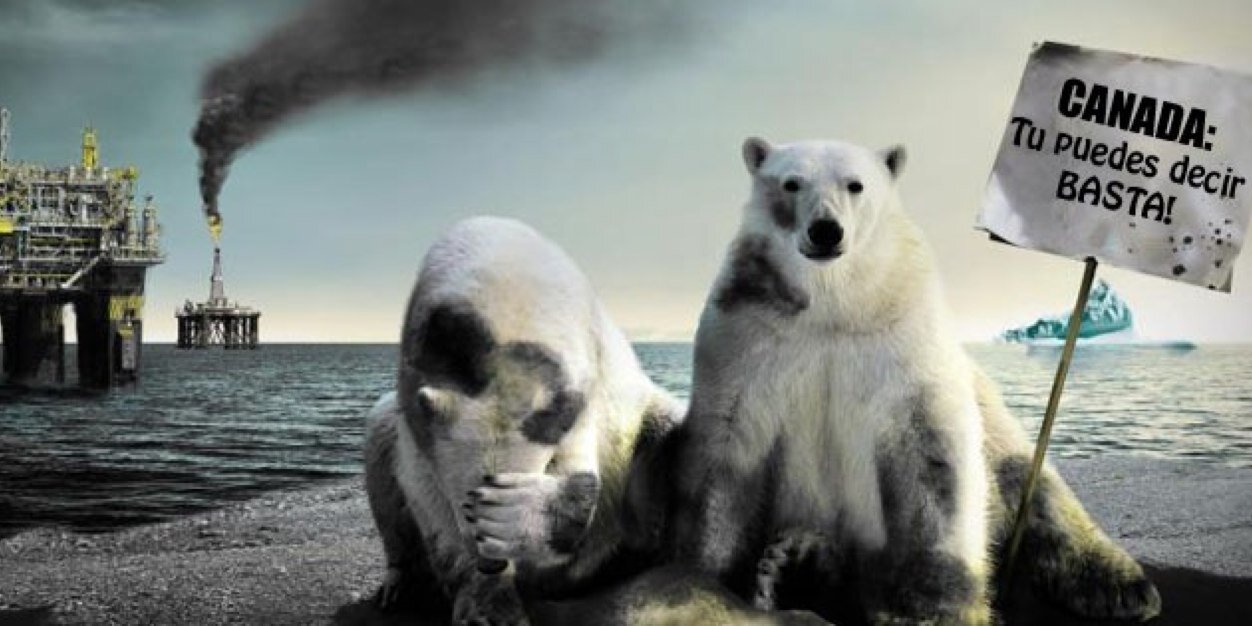 Mirada Animal banner