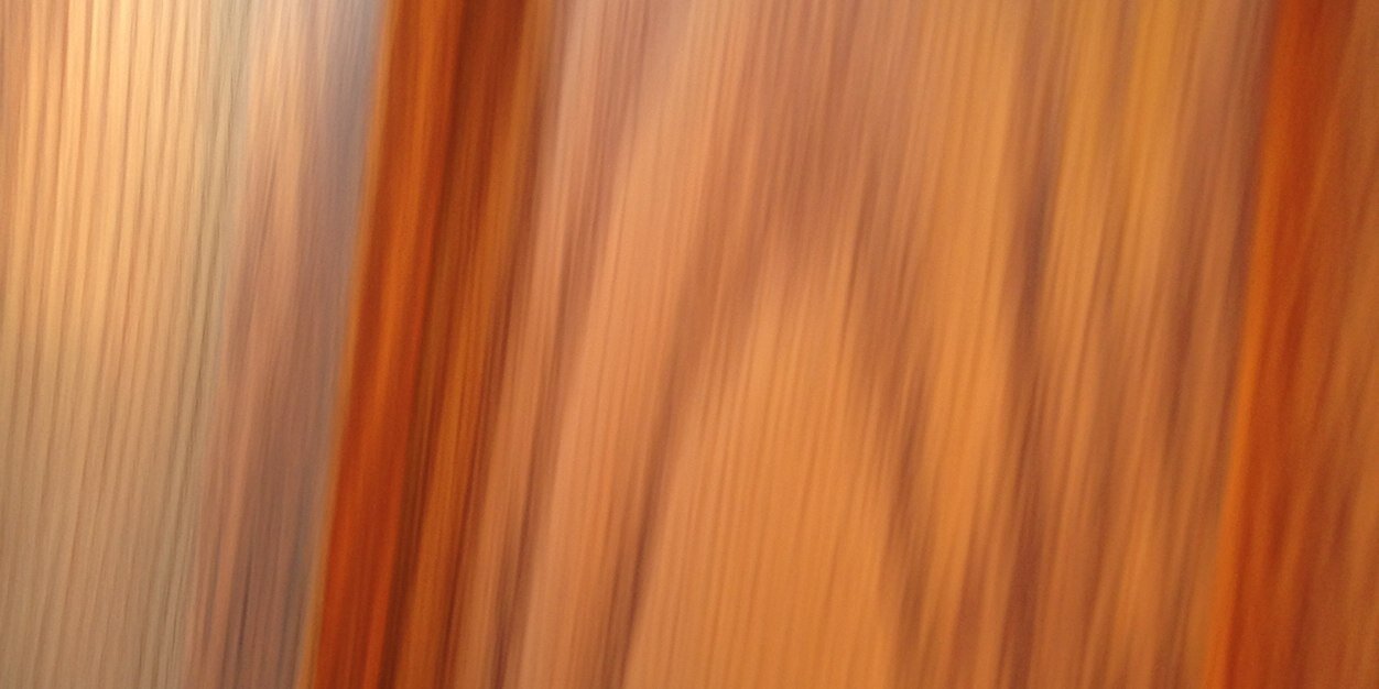 nosaltsara's profile banner image