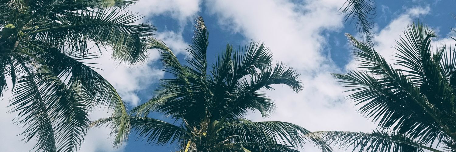 Charls_TL's profile banner image