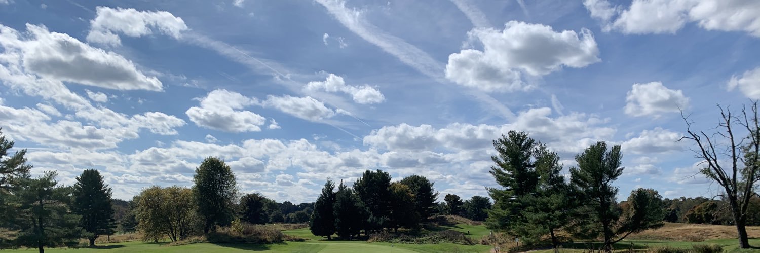 MichelleFreund1's profile banner image