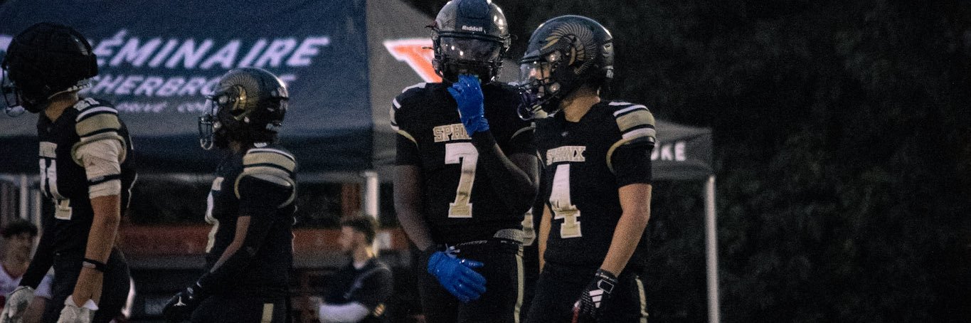 David-Étoile Bampeledi banner