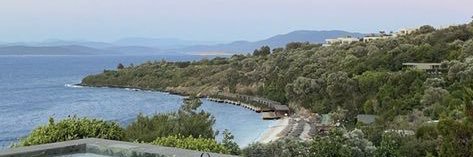 RenadAlsultan's profile banner image