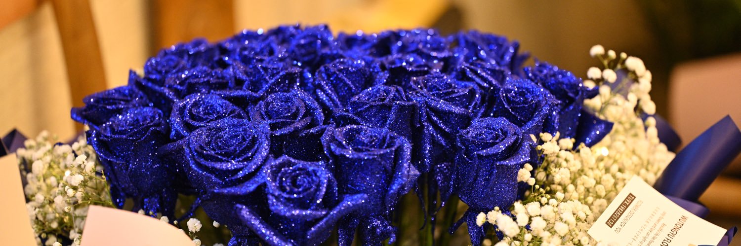 𝒂𝒔𝒆𝒂𝒍𝒗𝒊𝒏 banner