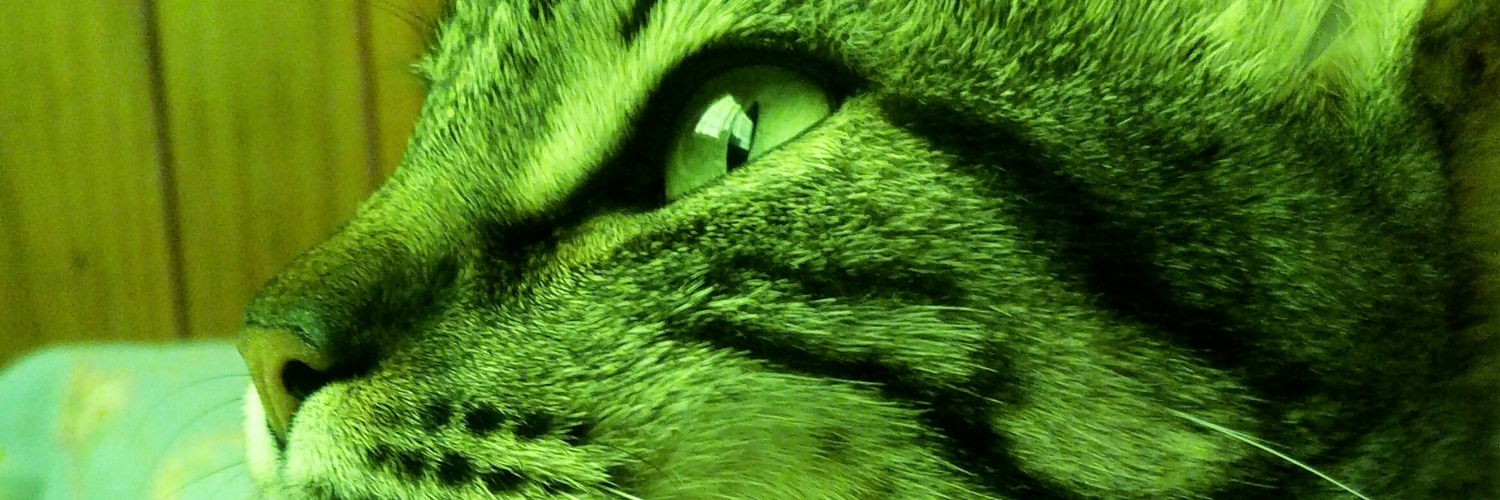 Mariaarsp's profile banner image