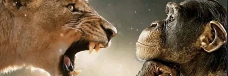Scruffwhisperer's profile banner image