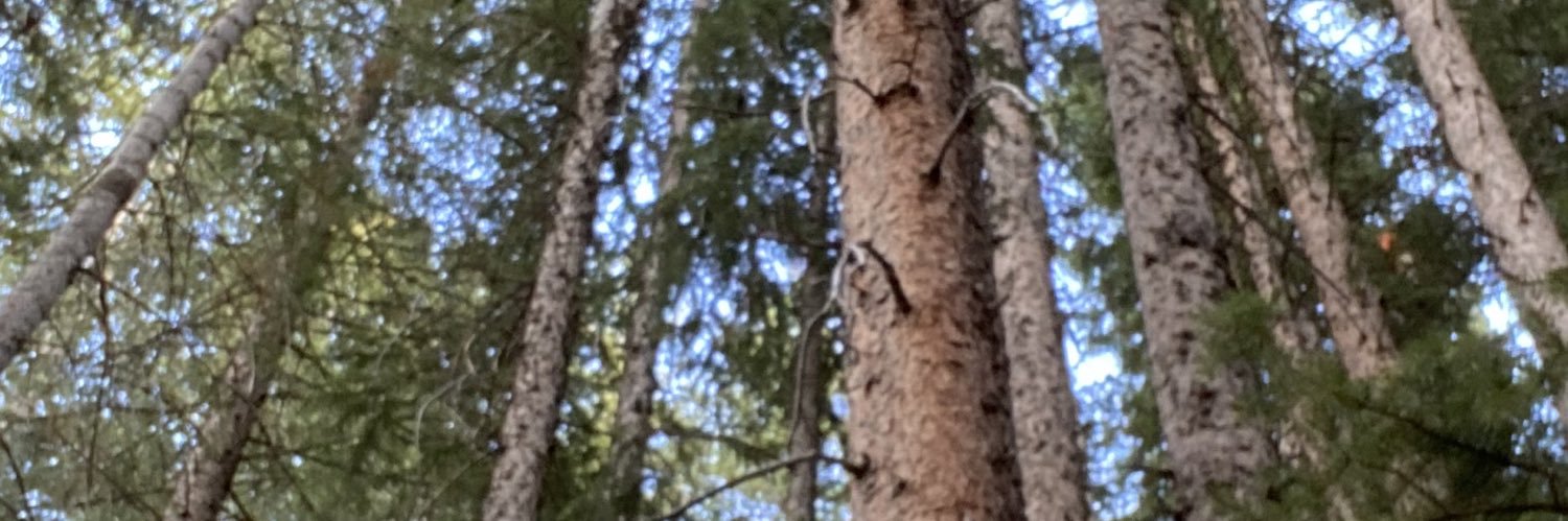 nicweste's profile banner image