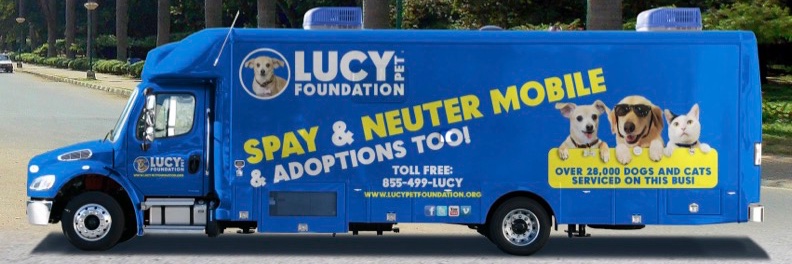 LUCYPETFDN's profile banner image