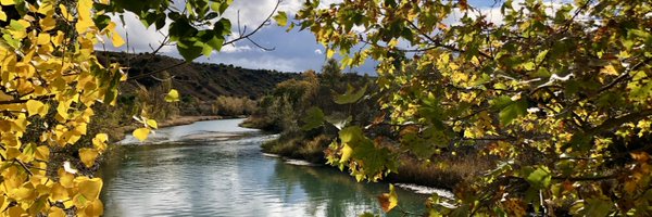 RafaCamarilloIQ Profile Banner