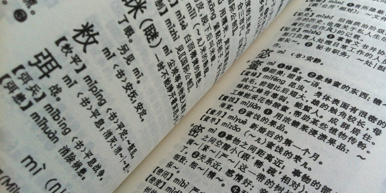 bilinguis_com's profile banner image