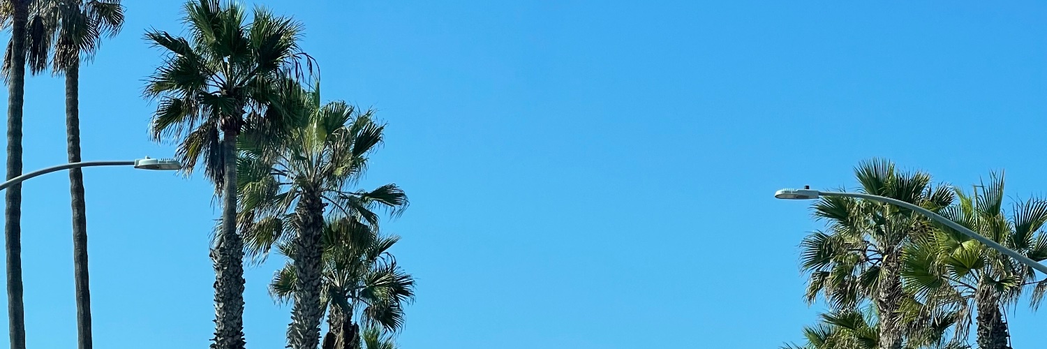 Stuff_n_thingz's profile banner image