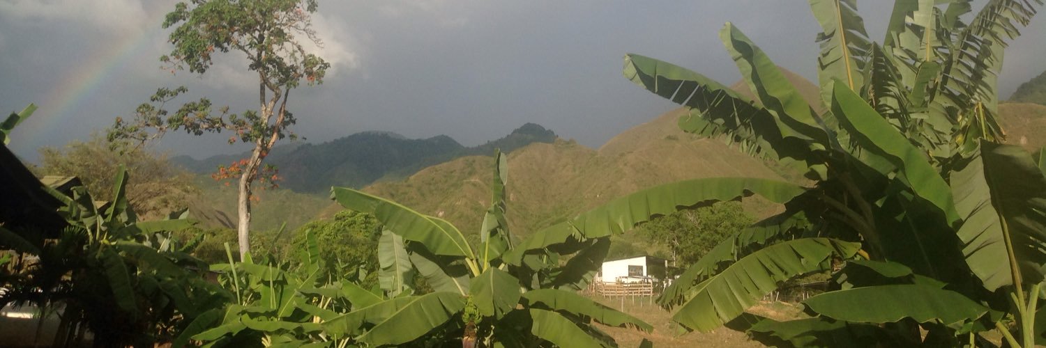 BlancadeMonroy's profile banner image
