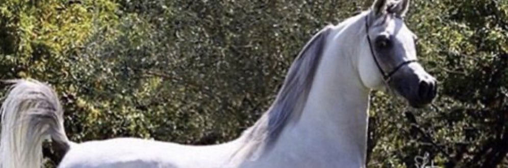 broplem's profile banner image