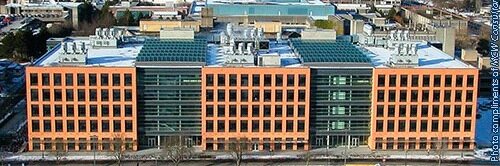 The Overall Lab banner