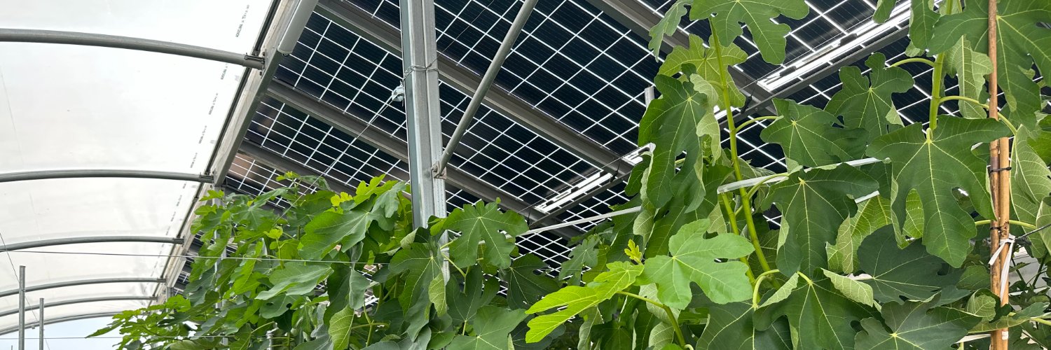 Ecoloop Project banner