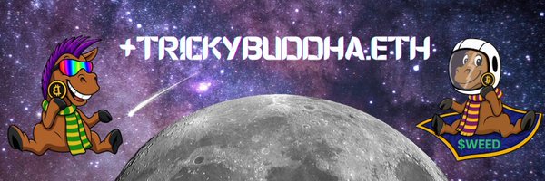DFSpaceDonkeys Profile Banner