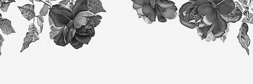 8ROOOB2013's profile banner image