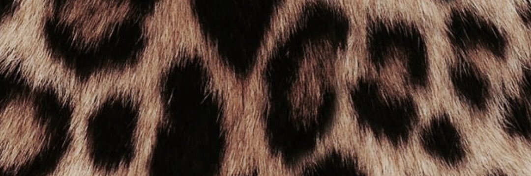 thedearxc's profile banner image