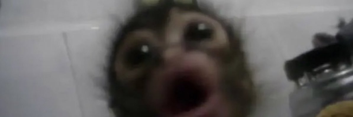 Lil_hoerat's profile banner image