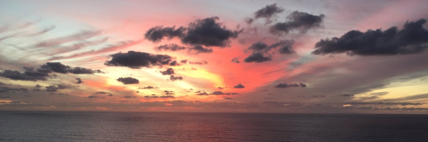 Reesa Fickett banner