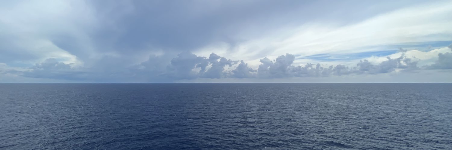 Nessaa51's profile banner image