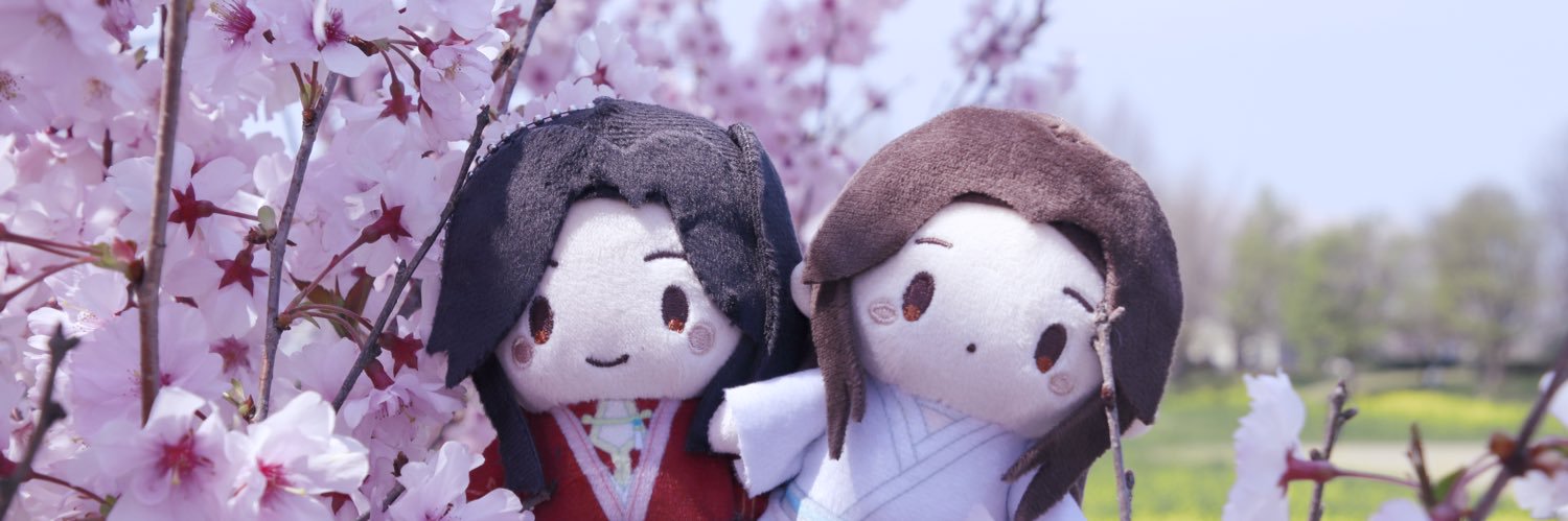 .˚‧º banner
