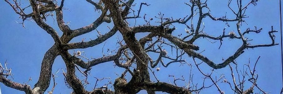 meldhensley's profile banner image
