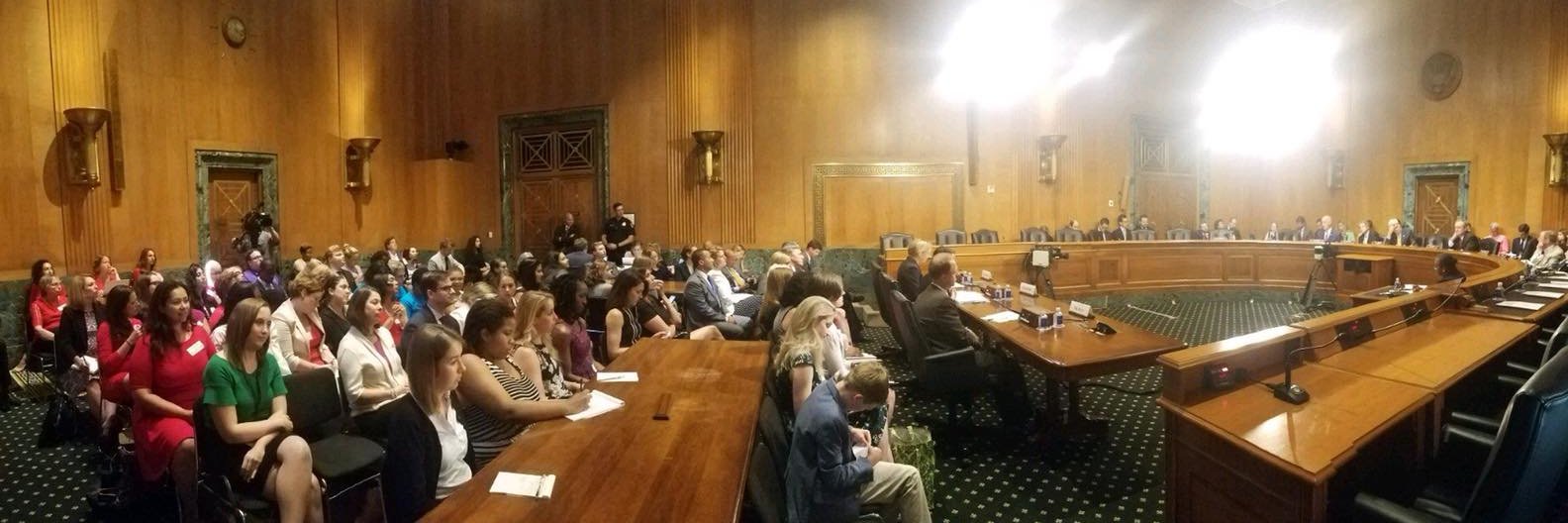 Kristin Shapiro banner